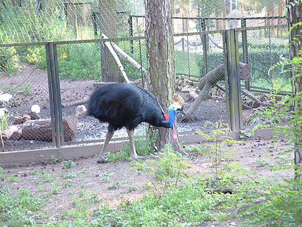 Rīgas zooloģiskais dārzs23