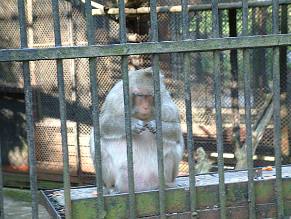 Rīgas zooloģiskais dārzs24