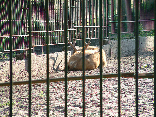 Rīgas zooloģiskais dārzs27