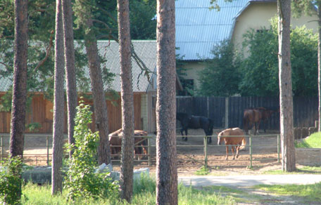 Rīgas zooloģiskais dārzs29