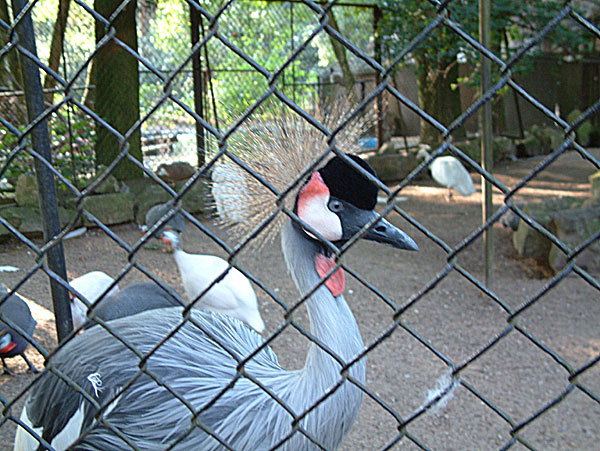 Rīgas zooloģiskais dārzs3