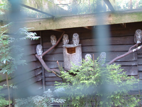 Rīgas zooloģiskais dārzs6