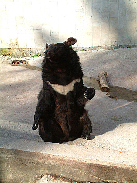 Rīgas zooloģiskais dārzs7