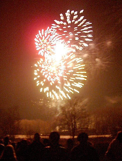 18. novembra salūts Jelgavā3