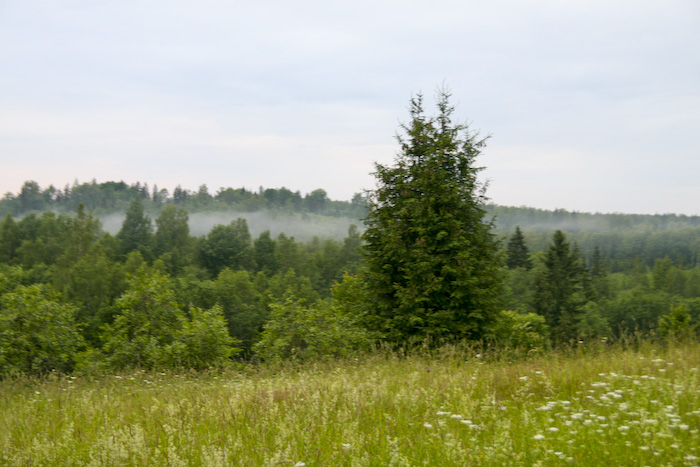 Jāņu ielīgo&scaron;ana50