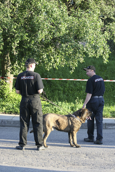 Četru Baltu Kreklu <em>Lielā Zaļumballe</em> Rēzeknē39