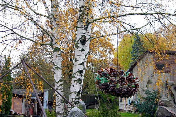 Velo-foto sesija «Bieriņu Rudens»14