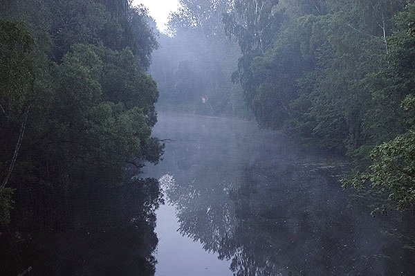 Jāņu svinības45