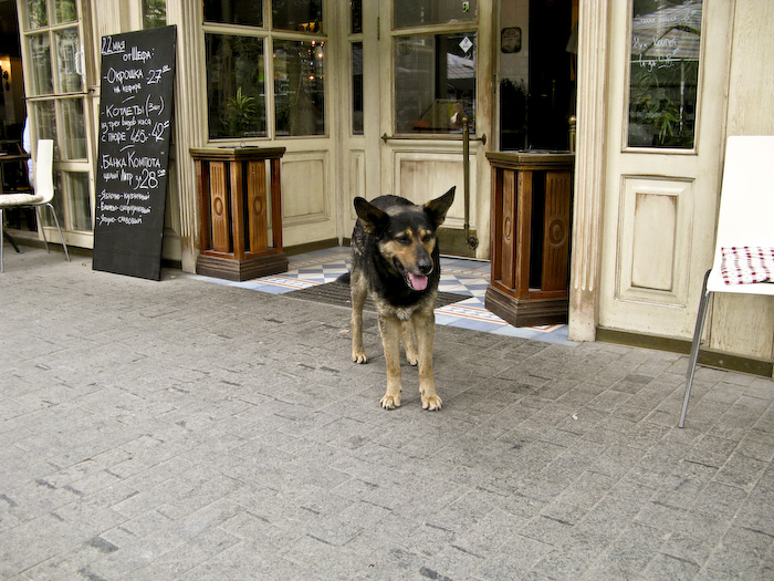 Odesa, Ukraina19