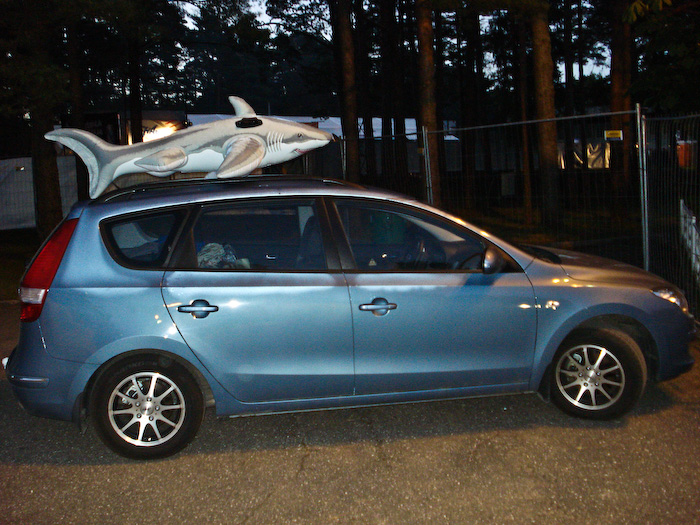 Ar vienu aci iekš <em>Positivus AB 2008</em> festivāla12